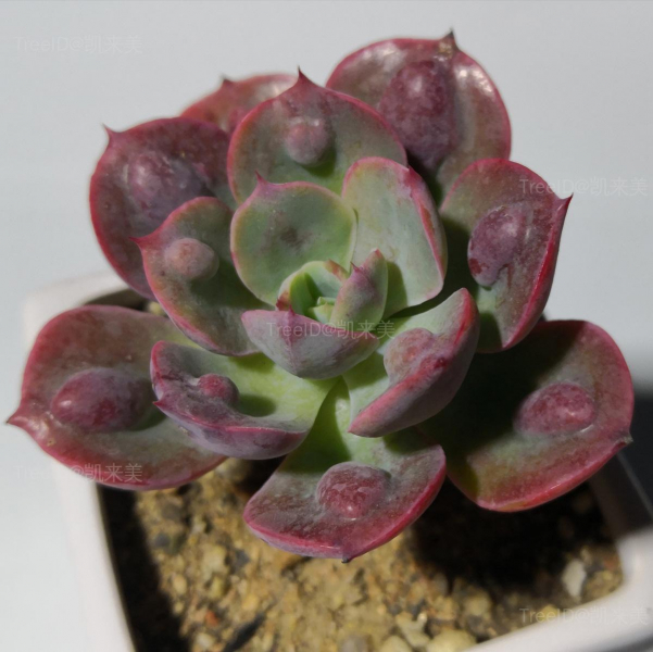 雨滴