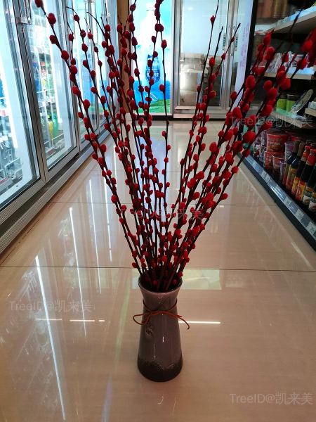 银柳